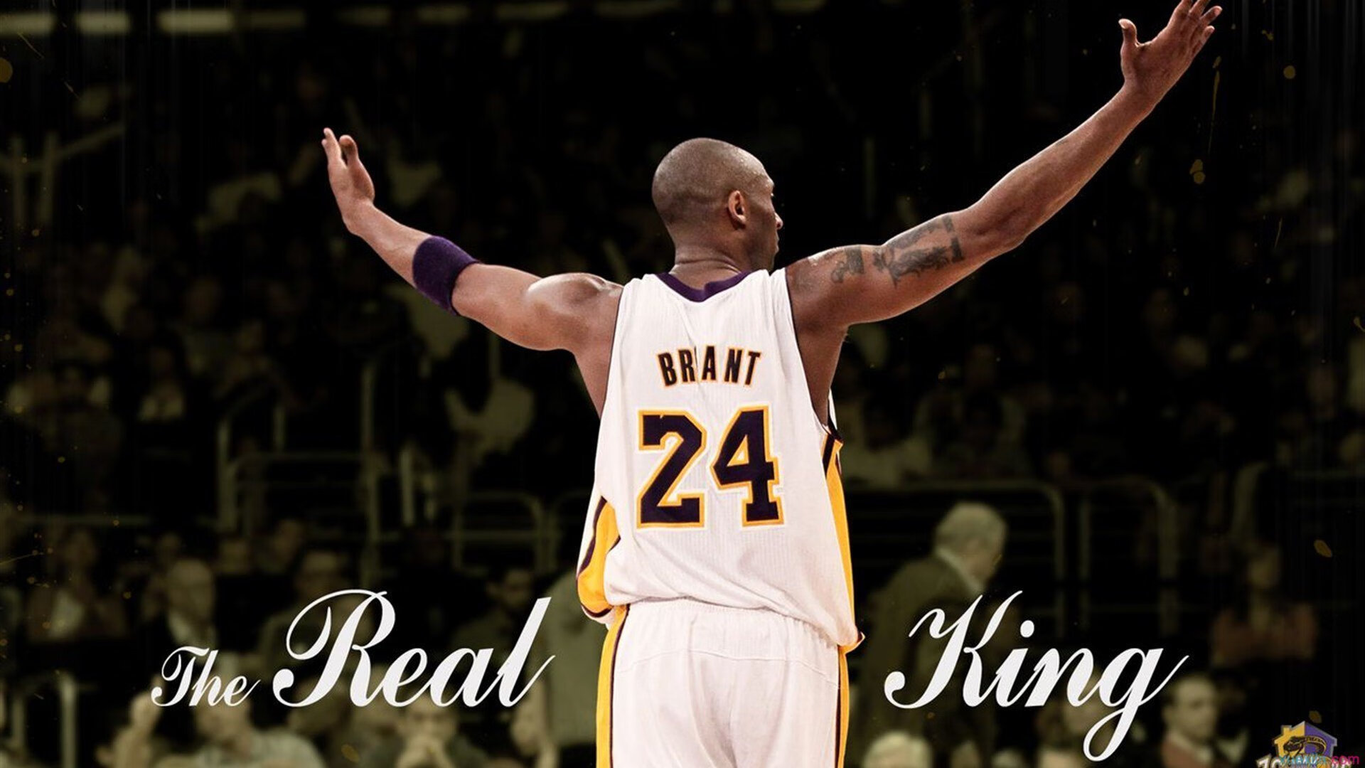 喀麦隆制霸比利时，特奥，从无名之辈到非洲雄狮的关键先生